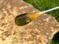 Man Bat- Pear Acrylic Conducting Baton